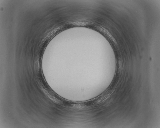X0000080130541200701051422