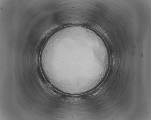 X0000080130542200701051422
