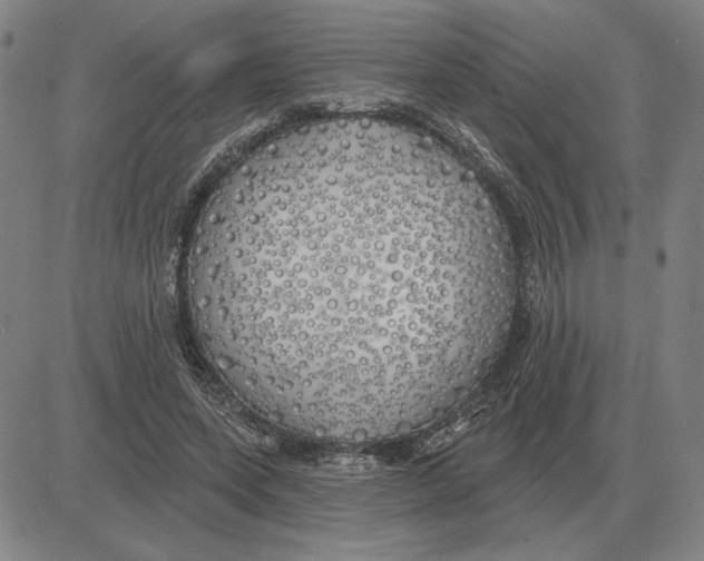 X0000080130543200701051422