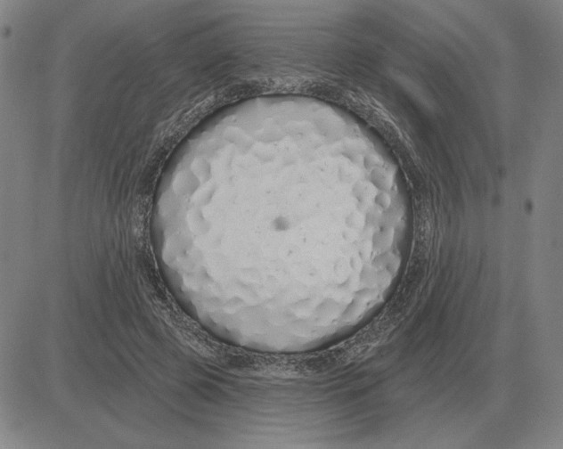 X0000080130545200701051422