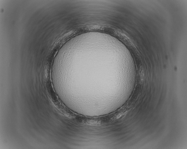 X0000080130546200701051422
