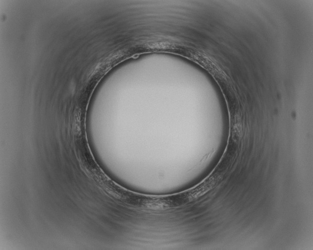 X0000080130547200701051422