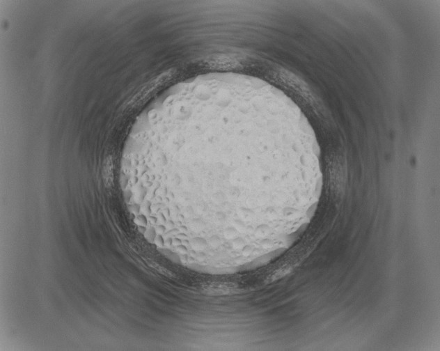 X0000080130549200701051422