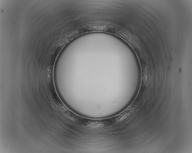X0000080130551200701051422