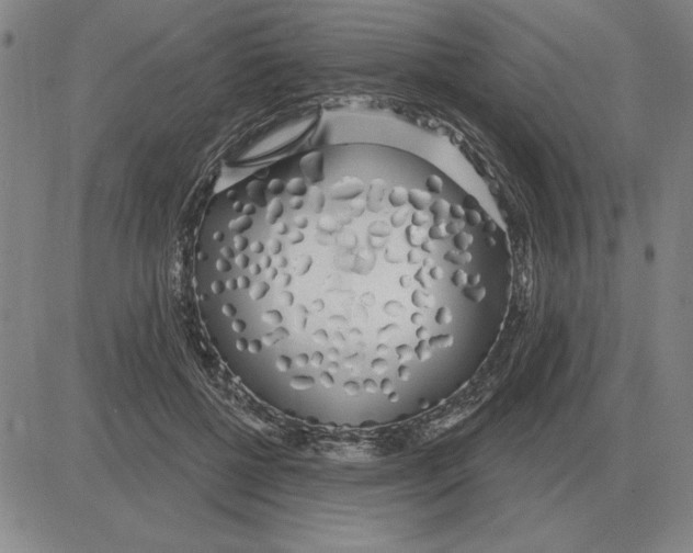 X0000080130552200701051422