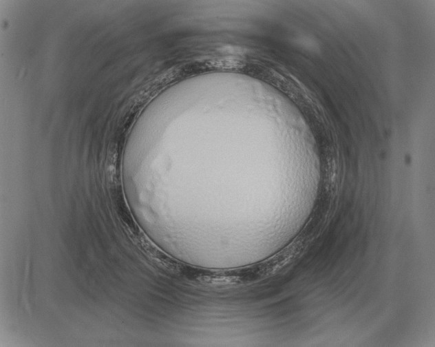 X0000080130553200701051422