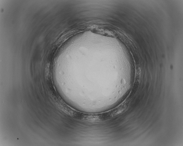 X0000080130554200701051422