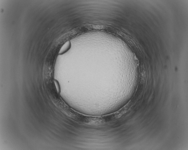 X0000080130555200701051422