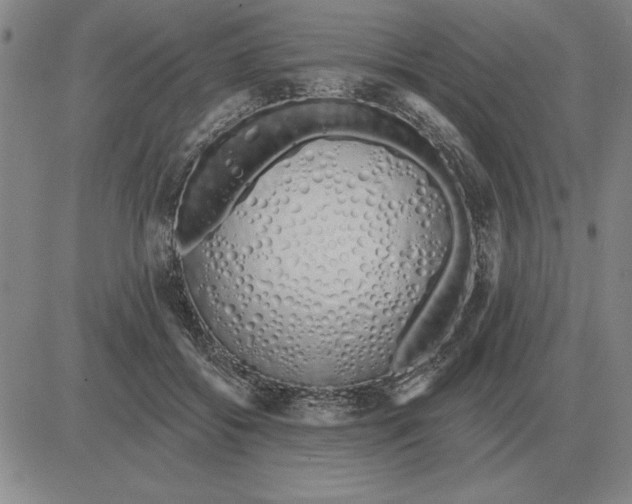X0000080130556200701051422