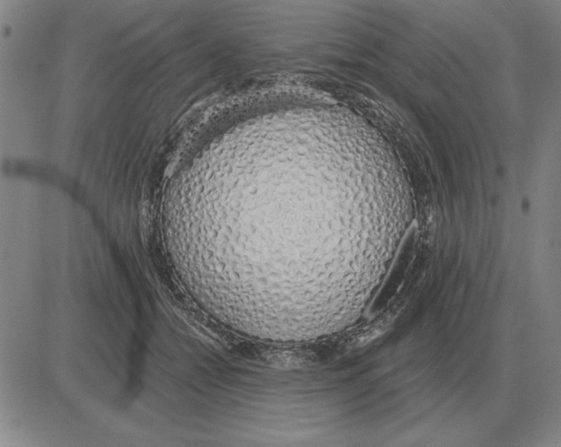 X0000080130558200701051422