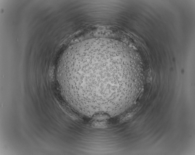X0000080130560200701051422