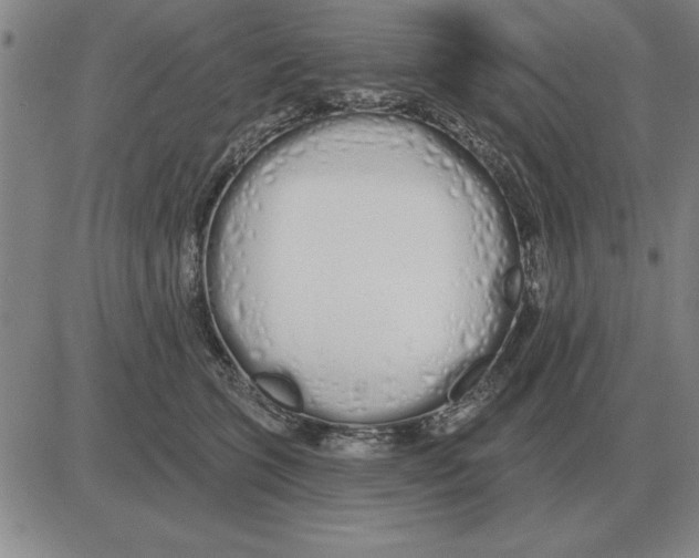 X0000080130563200701051422