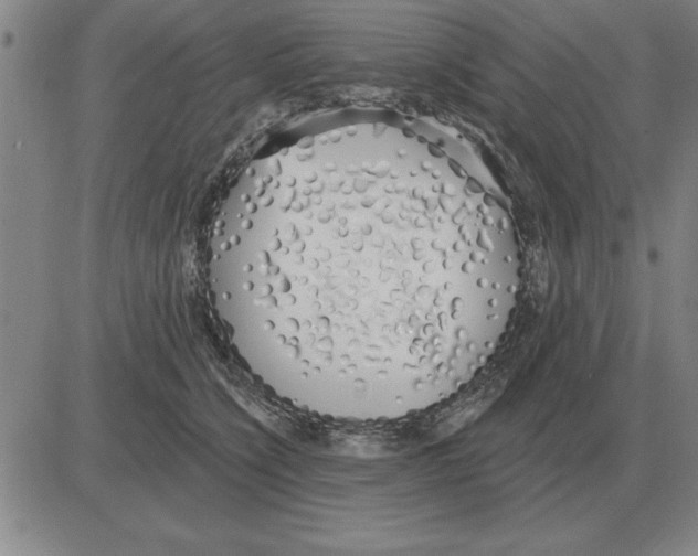 X0000080130564200701051422