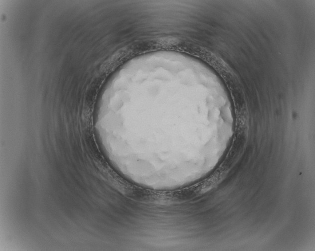 X0000080130565200701051422