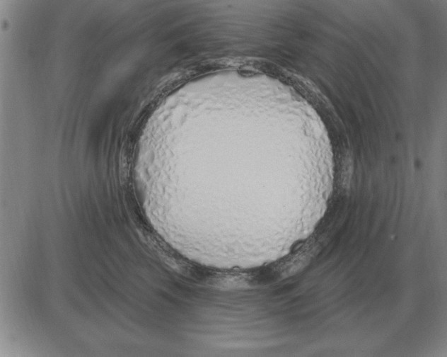 X0000080130569200701051422