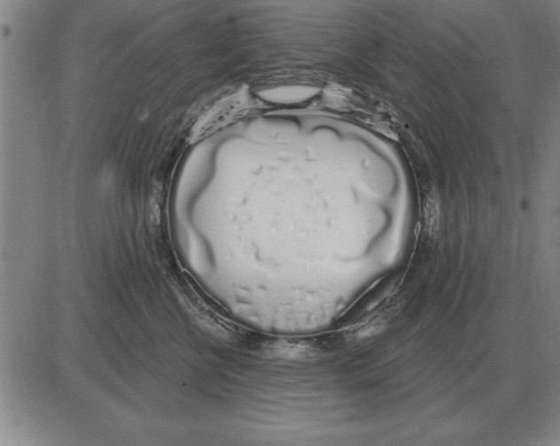 X0000080130570200701051422