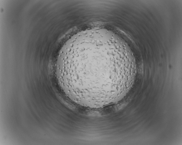 X0000080130572200701051422