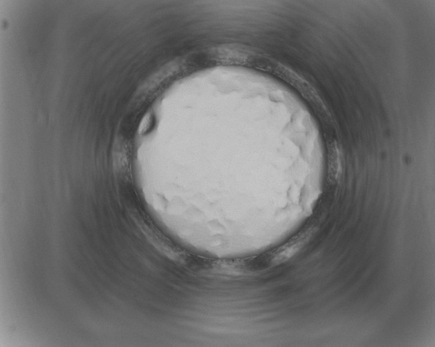 X0000080130573200701051422