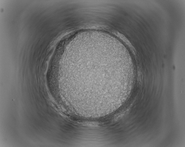 X0000080130577200701051421