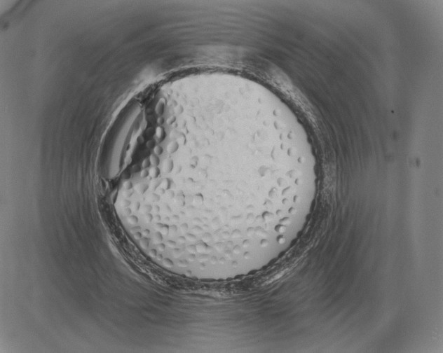 X0000080130580200701051421