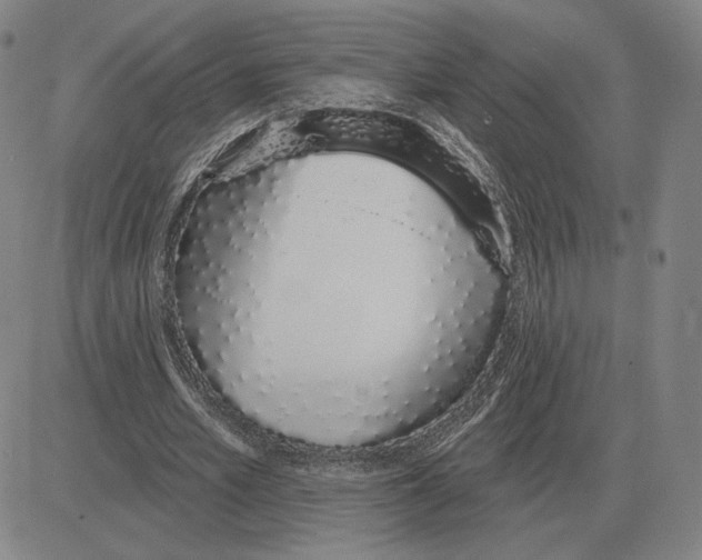 X0000080130581200701051421