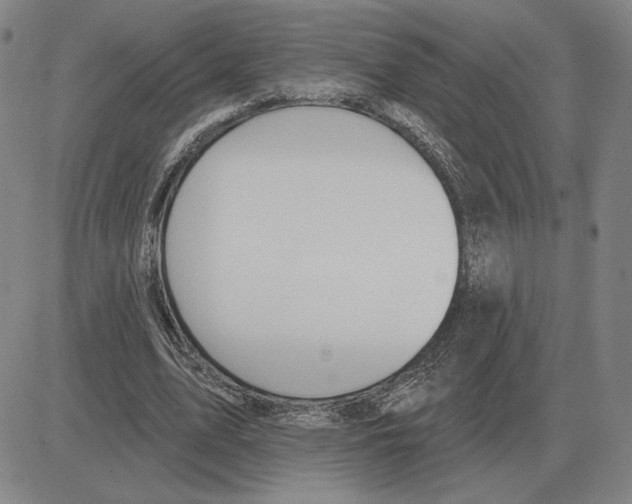 X0000080130583200701051421