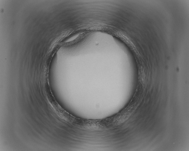 X0000080130586200701051421