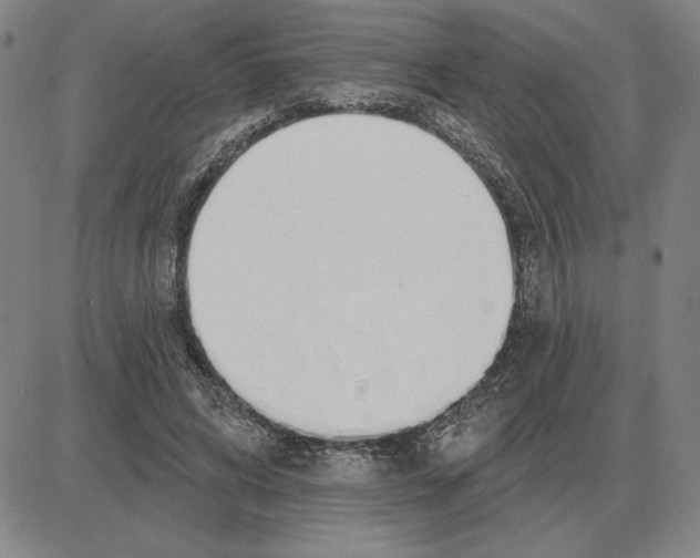 X0000080130592200701051421