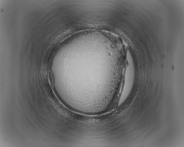 X0000080130593200701051421