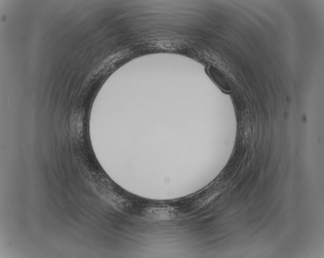 X0000080130595200701051421