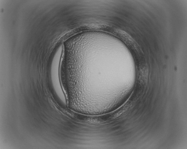 X0000080130596200701051421