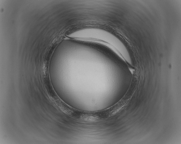 X0000080130597200701051421