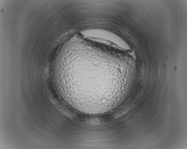 X0000080130600200701051421
