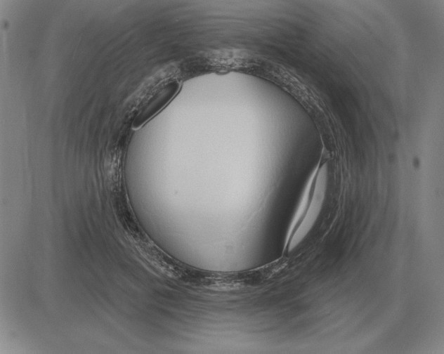 X0000080130601200701051421