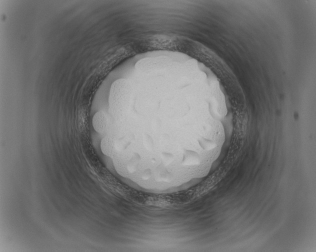 X0000080130602200701051421