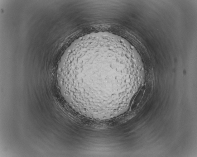 X0000080130604200701051421