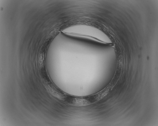 X0000080130605200701051421