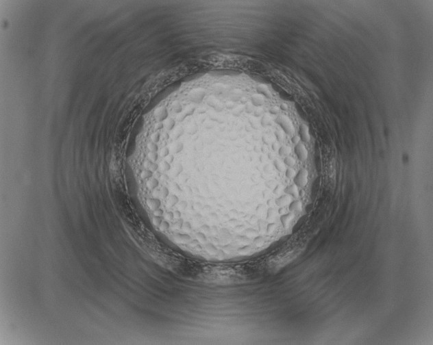 X0000080130607200701051421