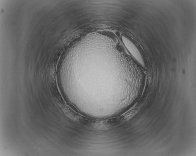 X0000080130609200701051421