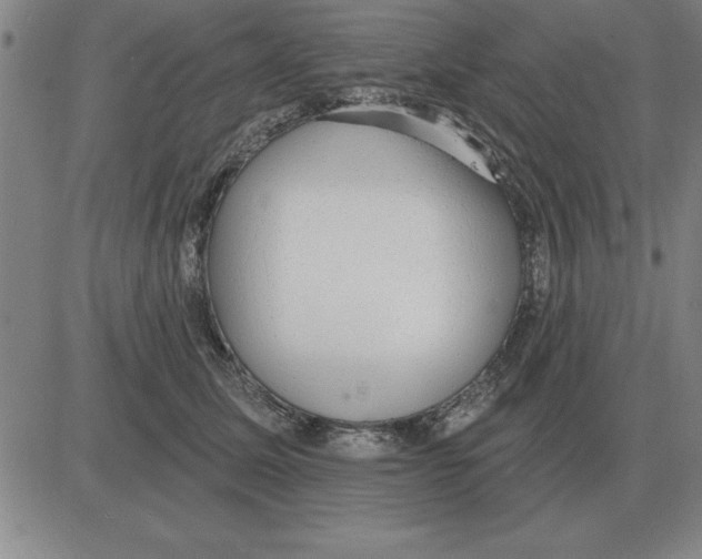 X0000080130611200701051421