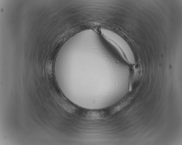 X0000080130613200701051421