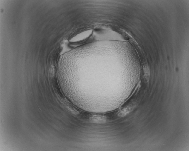 X0000080130617200701051421