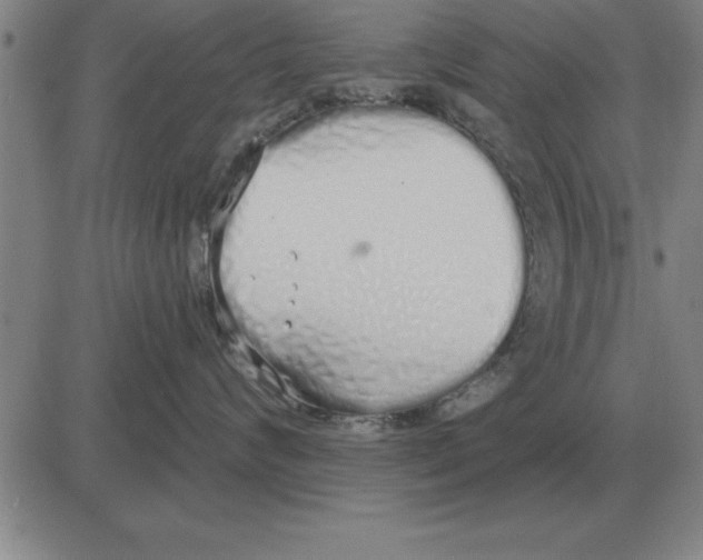 X0000080130624200701051421