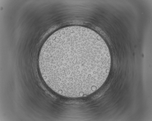 X0000080130625200701051420
