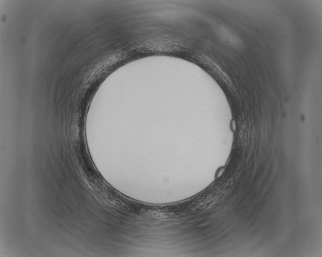 X0000080130635200701051420