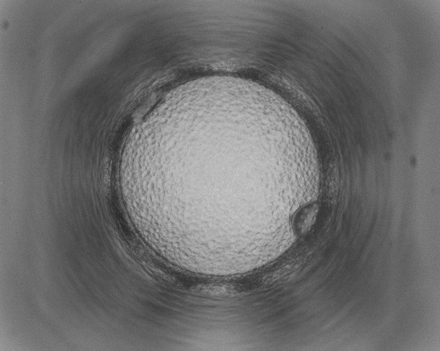 X0000080130639200701051420