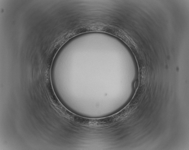 X0000080130641200701051420
