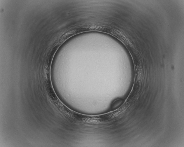 X0000080130643200701051420