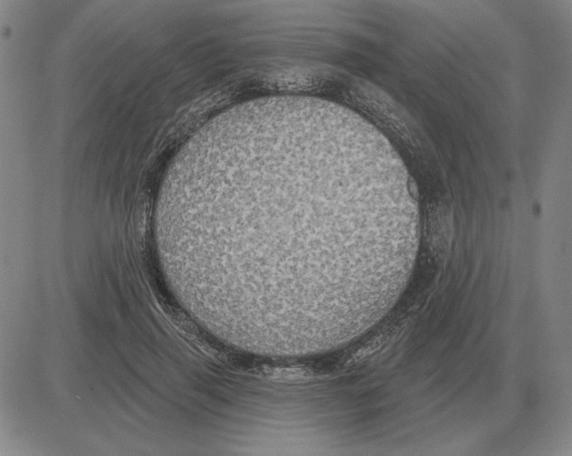 X0000080130645200701051420