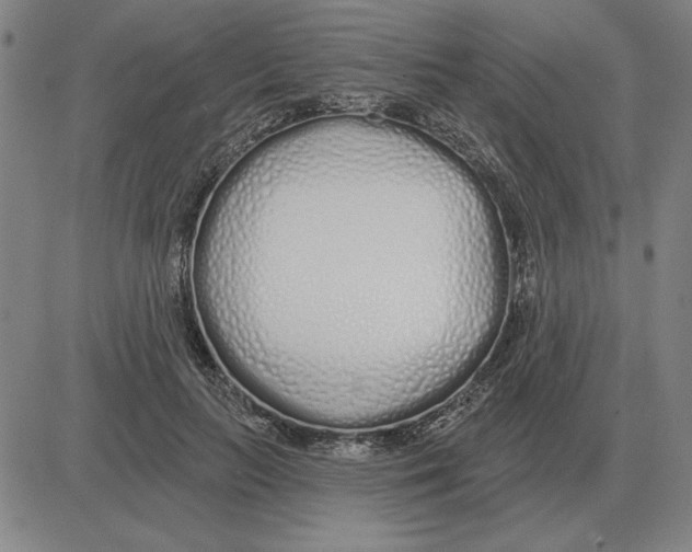X0000080130647200701051420